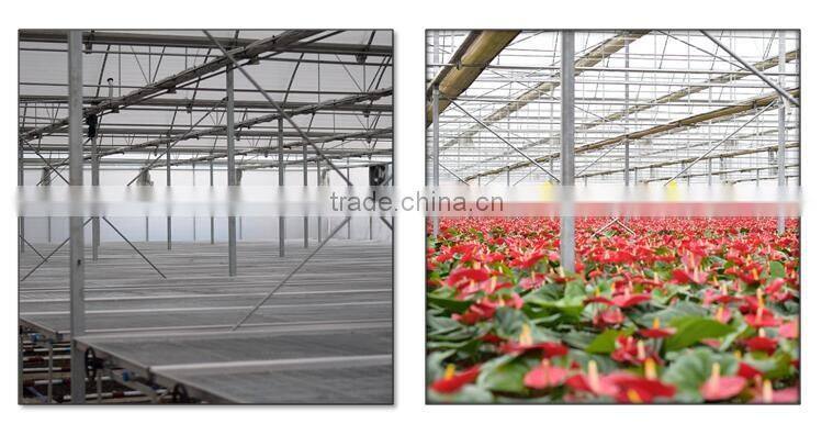 PC Sheet Cover Material and Large Size Tunnel Commercial Greenhouse