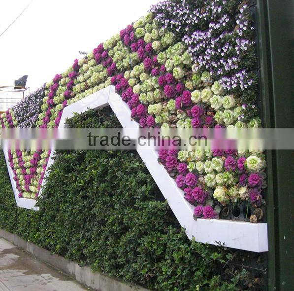 garden equipment hydroponic growing systems self watering cheap flower pots