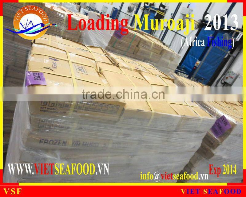 LOADING MUROAJI FOR TUNA BAIT