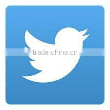 shining blue chelsea pvc rain boots