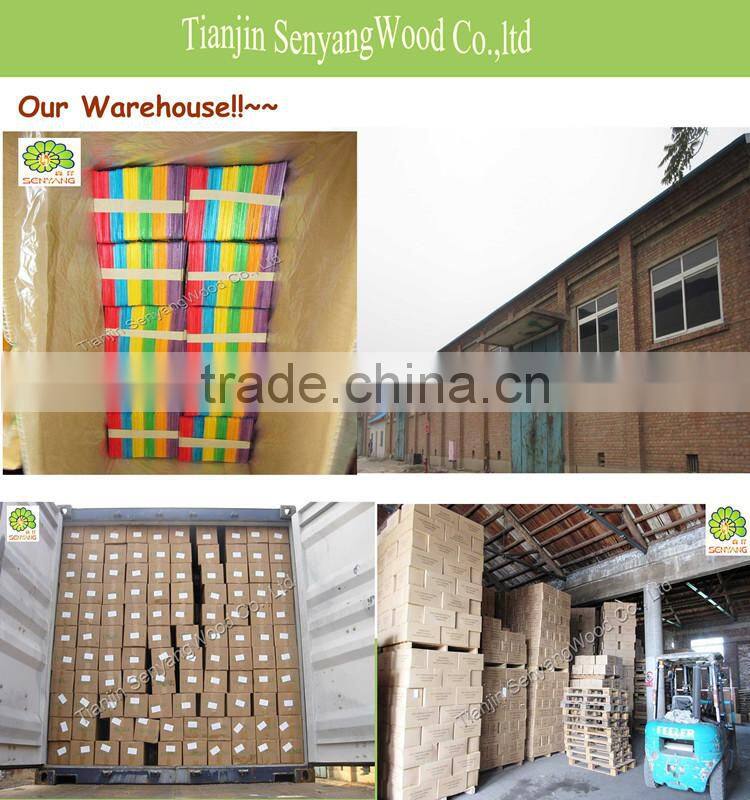 DIY toys white colorful round flat bamboo wooden craft sticks