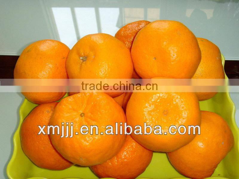 Sweet Nanfeng Baby orange