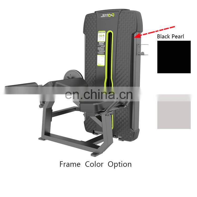 Full List AB Exercise Commercial Gym Equipment Prone Leg Curl