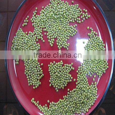 Organic green mung bean