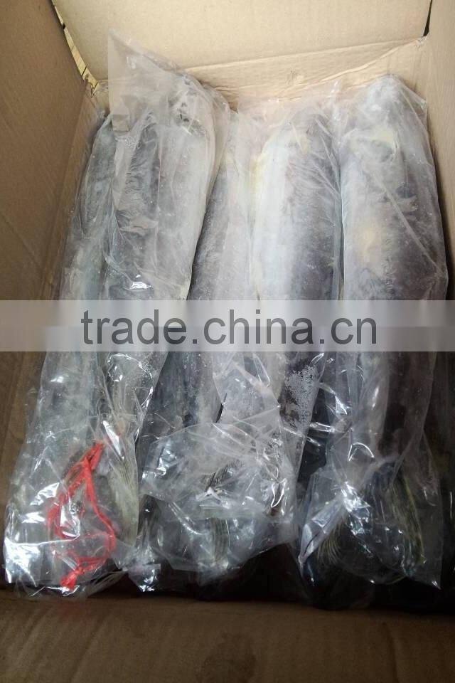 Cheap Wholesale Frozen Mackerel Spanish mackerel