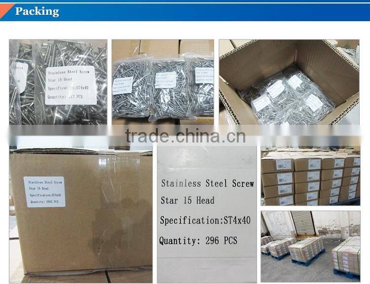 nonstandard stainless steel screw