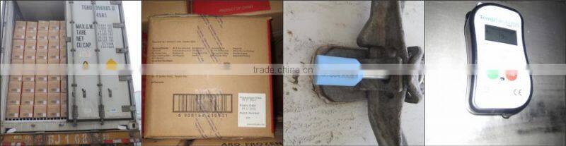 Frozen vannamei white Shrim