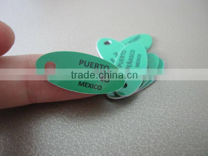 clothing tag pantone plastic luggage tag(M-PT291)