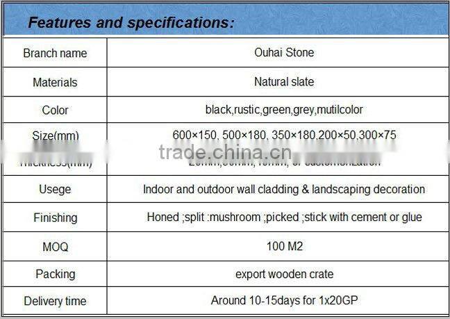 Natural decorative slate stone wall panel