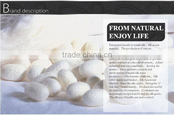 100% TOP mulberry silk quilt