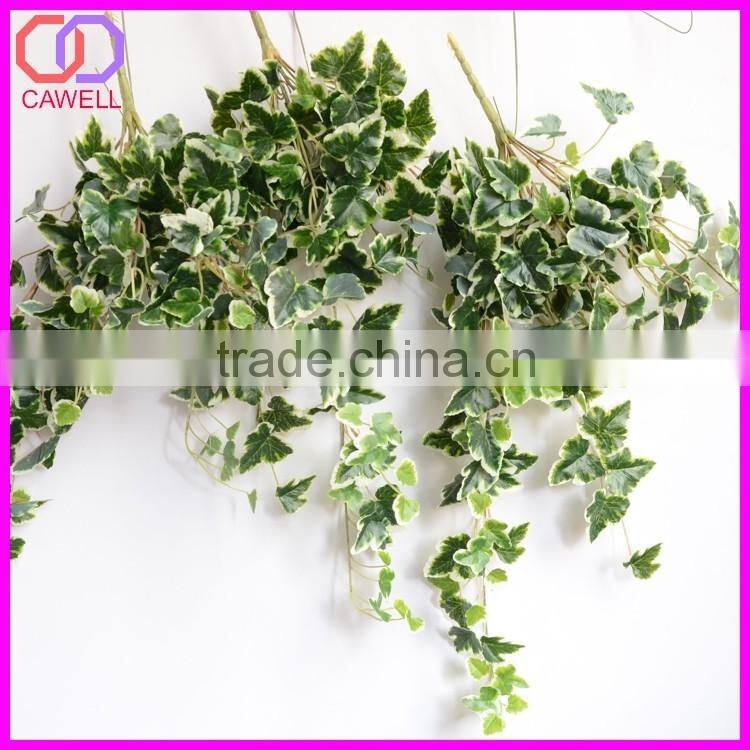 important of ornamental plant