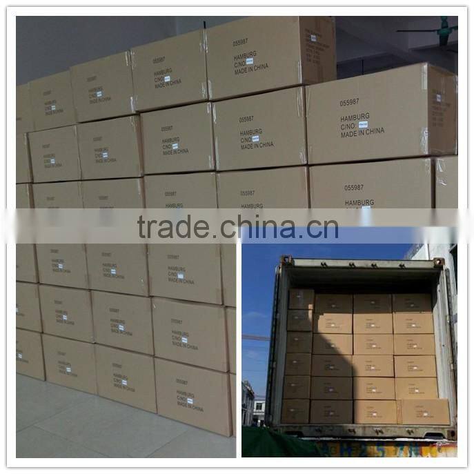 High tensity ozone sterilizer portable