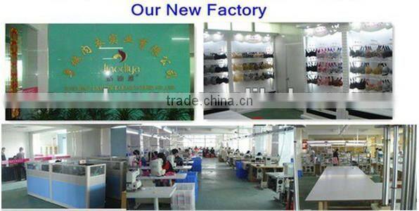 latest mesh silk bra and brief sets