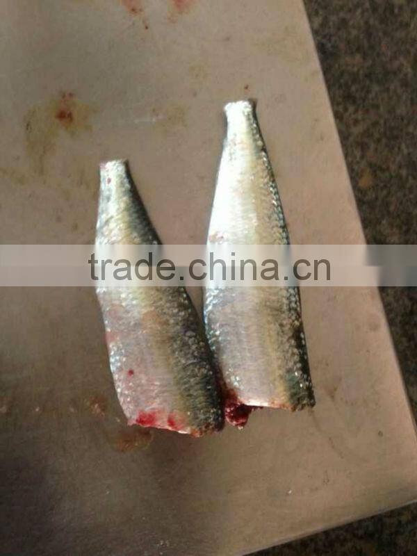 8-10pcs/kg HGT Frozen Sardine for Canning