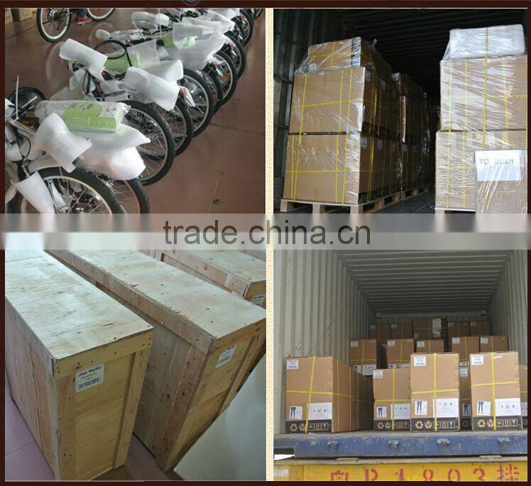 2015 new design 48V 350W e-bike eco adult electric motorcycle for sale supplier