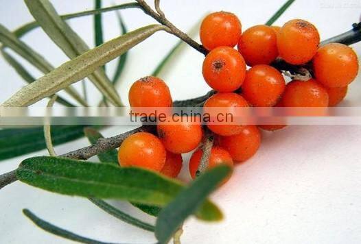 The Top Quality 50ml Seabuckthorn Fruit Oil China Manufacturer Supply Berry Oil 19 Years Healthy Product