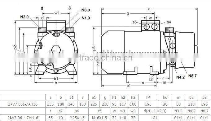 2LV61-H06,rotary ring vacuum pump,oil-free vacuum pump