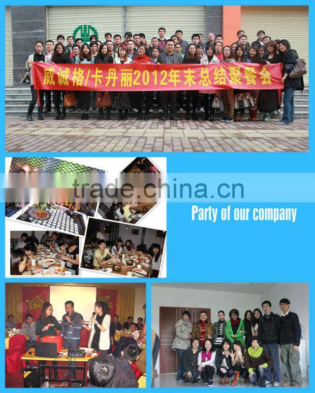 2016 new design High quality pipeless swimming pool filter