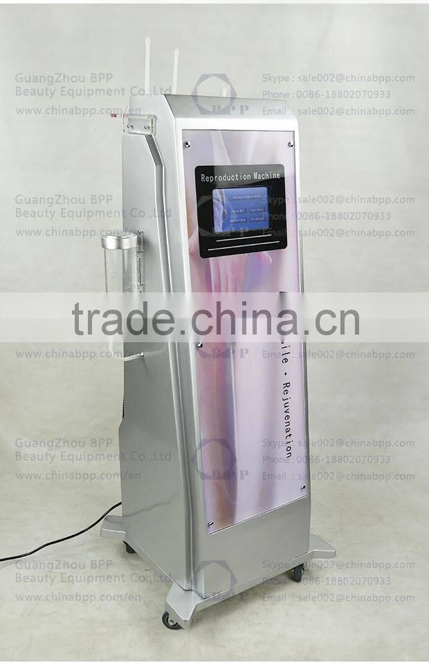 Professional Best Ozone Therapy Equipment For Vagina Care (E0308)
