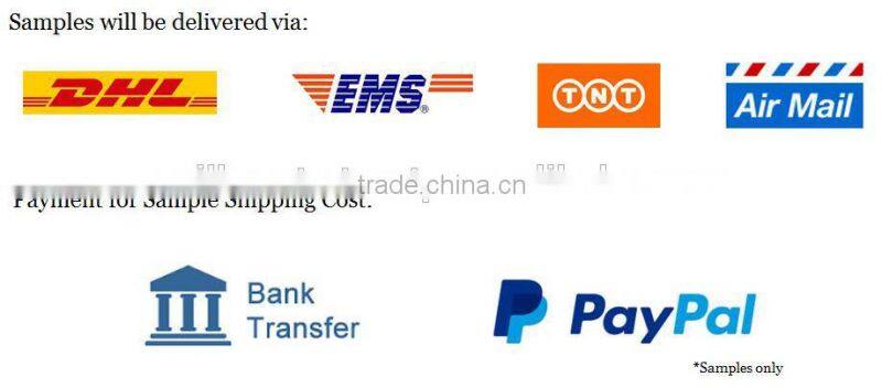 Organic Mango Fruit Bar