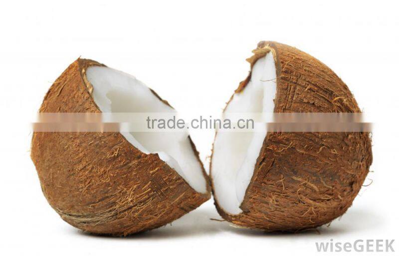 Fresh coconuts from India