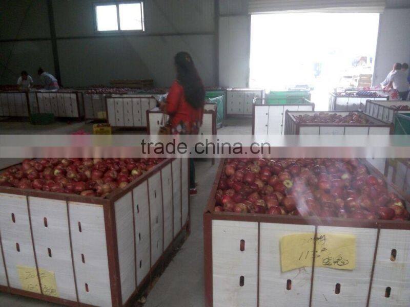 unbagged qinguan Apple