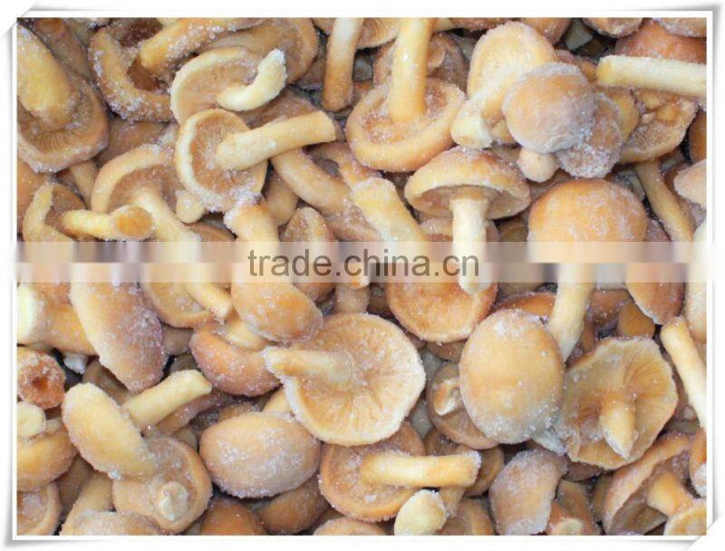Wholesale fresh shitake mushroom