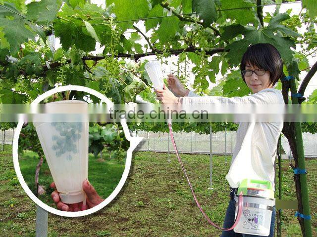 Gibberellin treatment tool for making Grape juice from Seedless Grapes