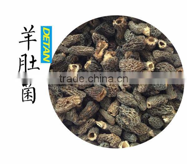 Dried Morchella Esculenta Made in China
