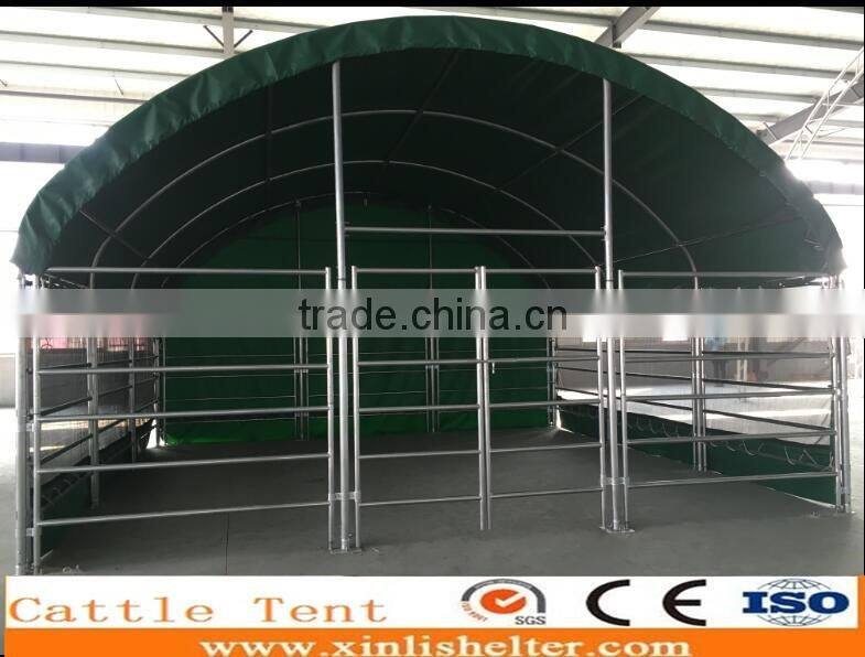 6x6x3.7m PVC animal Tent /portable cattle livestock shelter