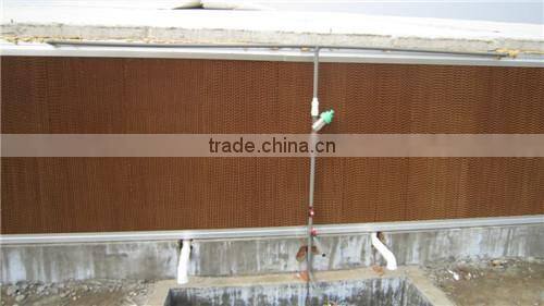 Automatic chicken poultry farming equipment