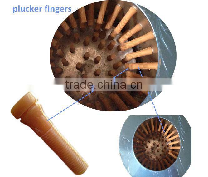 Best price used chicken pluckers for sale poultry slaughter machine with good quality