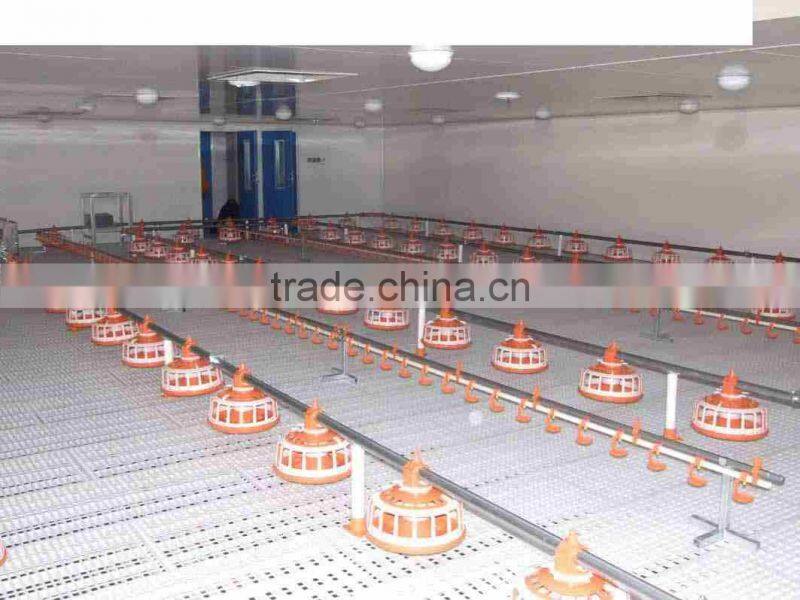 Steel frame and sandwich board chicken poultry shed design