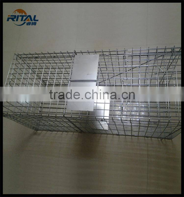 Live Bird Cage Trap For Magpies, Crows and Jays