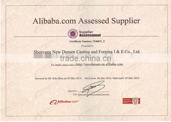 customized size Caster all size caster wheel