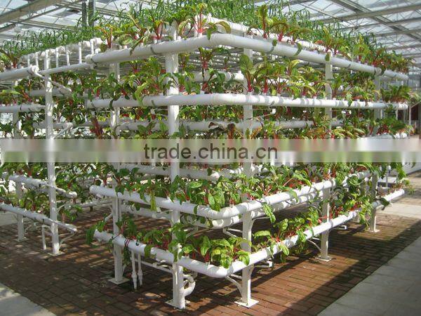 BaoLiDa High quality PE sheet greenhouse hot-dip galvanized steel tube tomato greenhouse