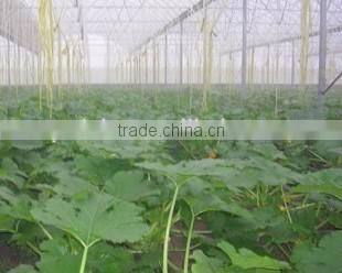 4 rooms aluminum greenhouse rose flower tomato seed vegetable growing irrigation system