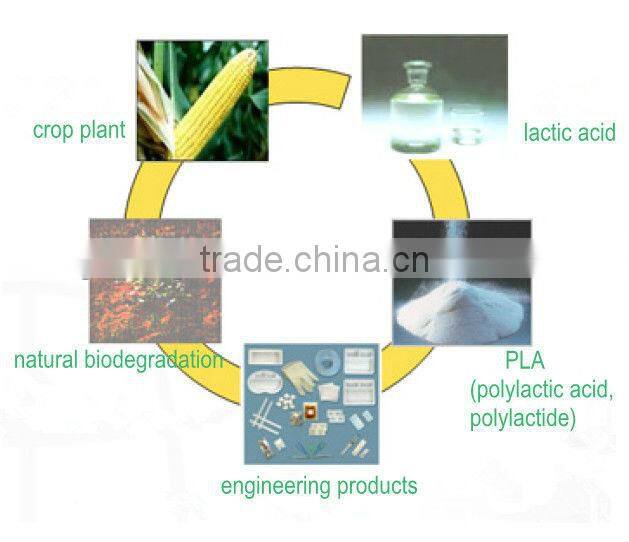 100% compostable PLA eco-friendly disposable toothbrush white