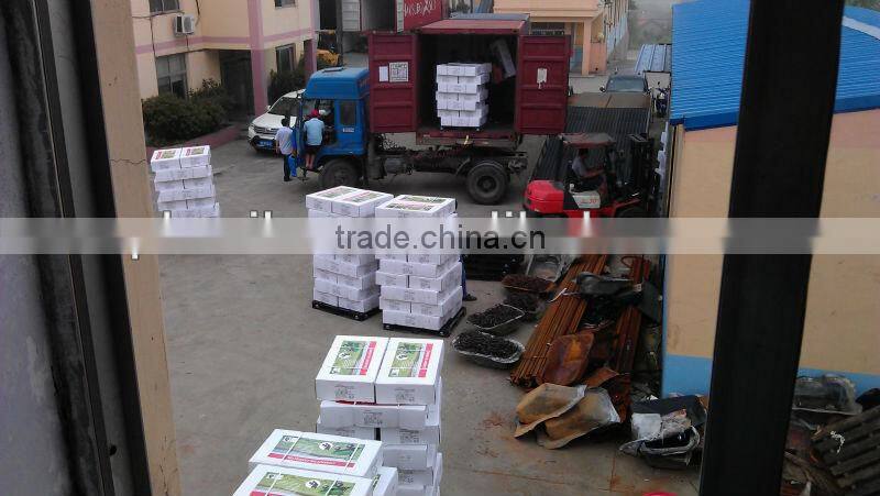 garden dump cart hot item in Europe market