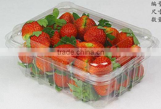 Disposable packaging ;Vegetable box ;Fruit dish