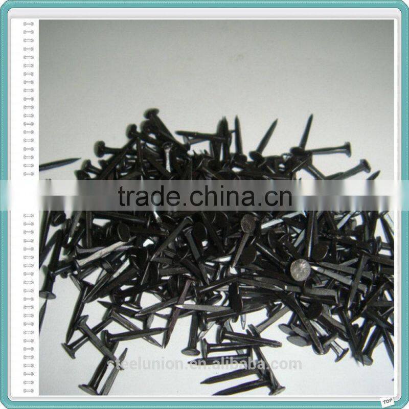 Blue Shoe Tack Nails Factory