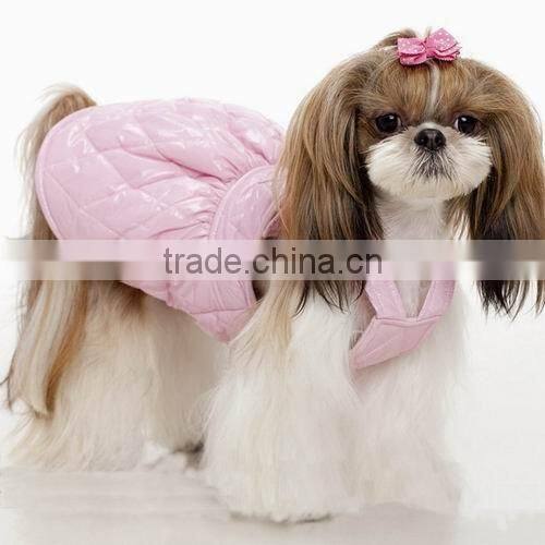 pet products dog clothing