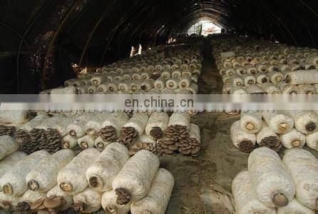 edible fungus producing machine/oyster mushroom bagging machine