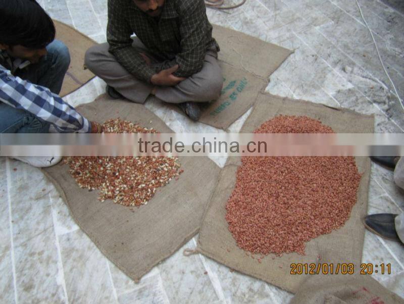 Peanut Color Sorter