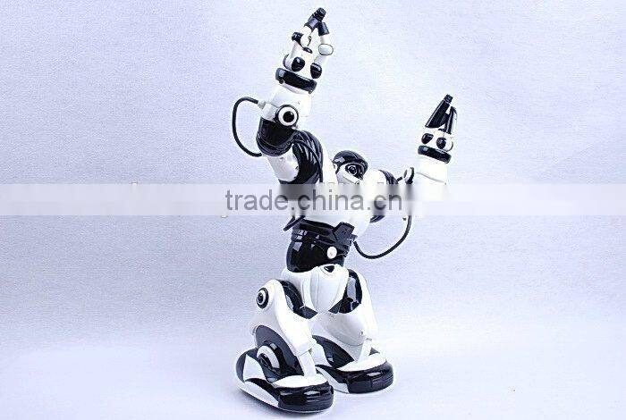 Remote Control Robot Toy RC Programmable Voice