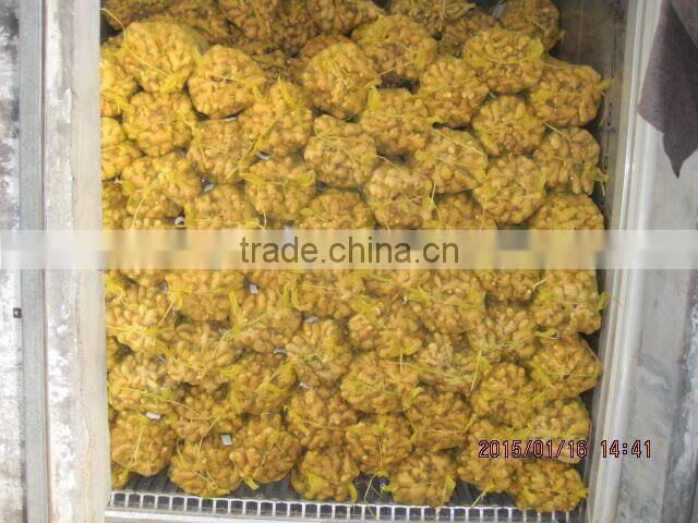 hot sale best quality fresh ginger