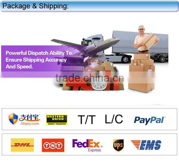 Plug Play two way audio external camera SD card Andriod ISO phone IP wifi intercom camera WPS wireless camera Mic & speaker