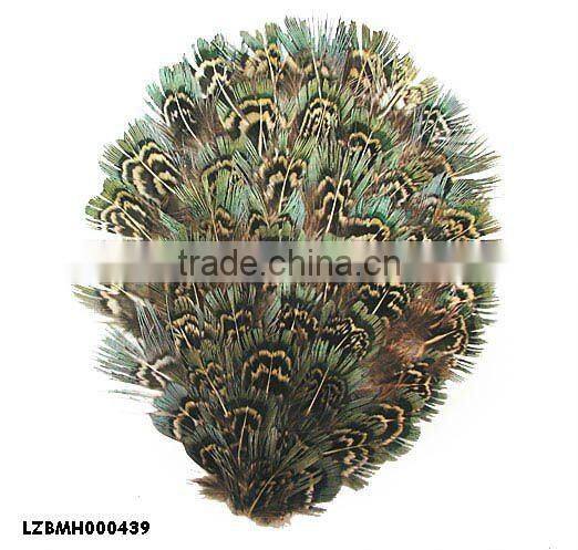 ringneck church window pad LZXZ00584