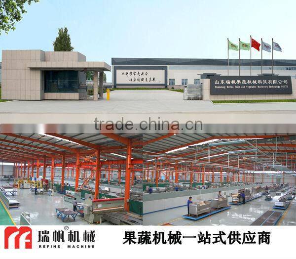 strawberry roughly rinsing machine/strawerry washing machine