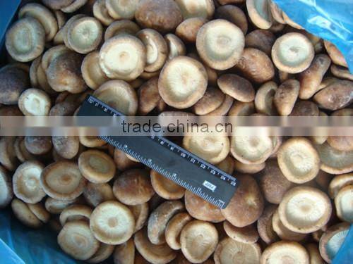 Frozen style shiitake mushroom whole